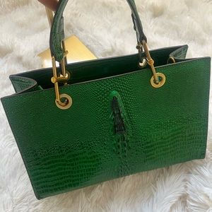 Alligator 🐊 Crossbody/Shoulder bag